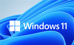 Windows最全系统镜像-Clown