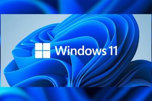 永久激活系统Windows10/11-Clown