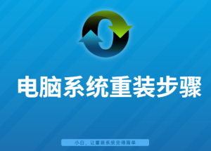 在线重装系统-Clown